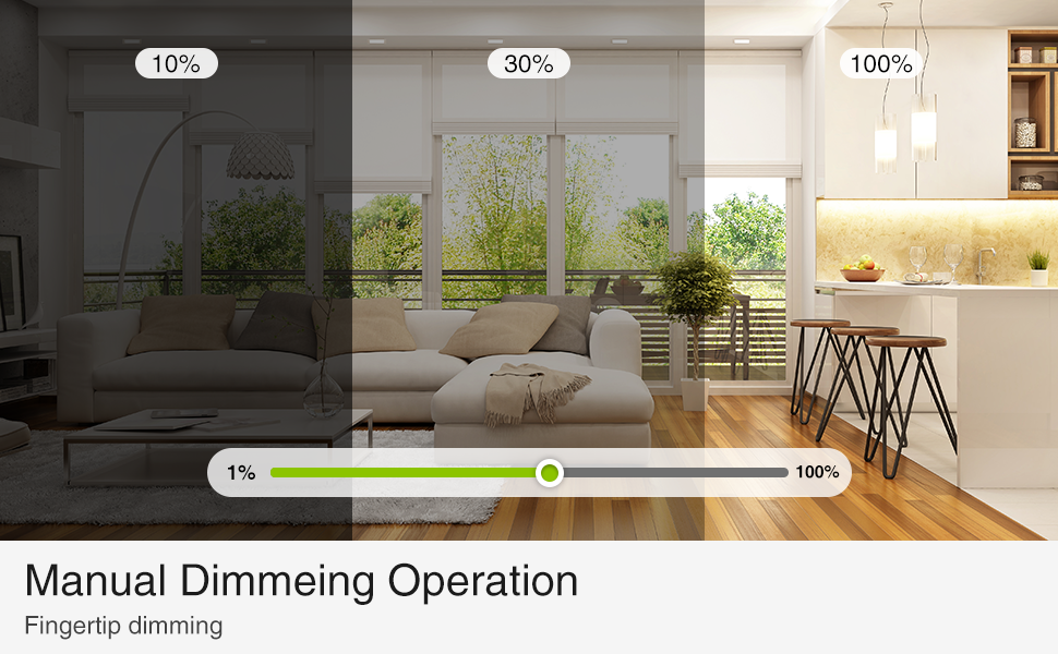 US Smart Wi-Fi Ceiling Fan and Light in-wall Dimmer Switch