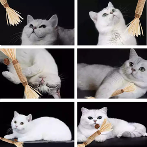 <strong>Catnip</strong> <strong>Cat</strong> Toy Molar Stick <strong>Cat</strong> Toys Interactive Pet Toys <strong>Catnip</strong> Ball Pet Products - Product Image 4