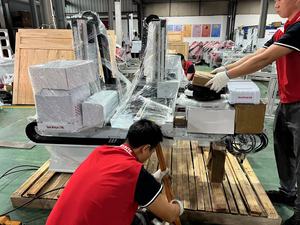 Automazione 5 assi a braccio singolo Servo controllato in plastica per la produzione di prodotti per uso domestico, collocando il braccio del Robot ad iniezione - Product Image 4