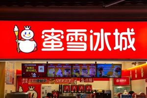流行的户外乙烯基切割机绘图仪制作永久性聚氯乙烯薄膜招牌海报木纸材料，包括粘合剂乙烯基