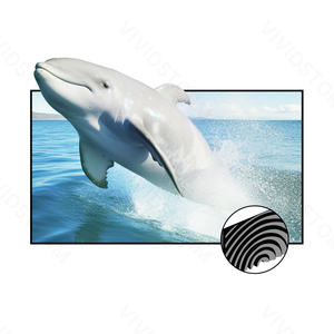 VIVIDSTORM Pantalla de proyección de rechazo de luz ambiental Fresnel ALR de 100 pulgadas para proyector UST de tiro ultracorto Pantalla de marco fijo - Product Image 1