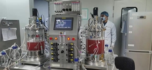 Bioréacteur de laboratoire pour cellules de mammifères 2 jeux 20L Bioréacteur à double verre Fermenteur de culture cellulaire BLBIO-GJ-2 - Product Image 3