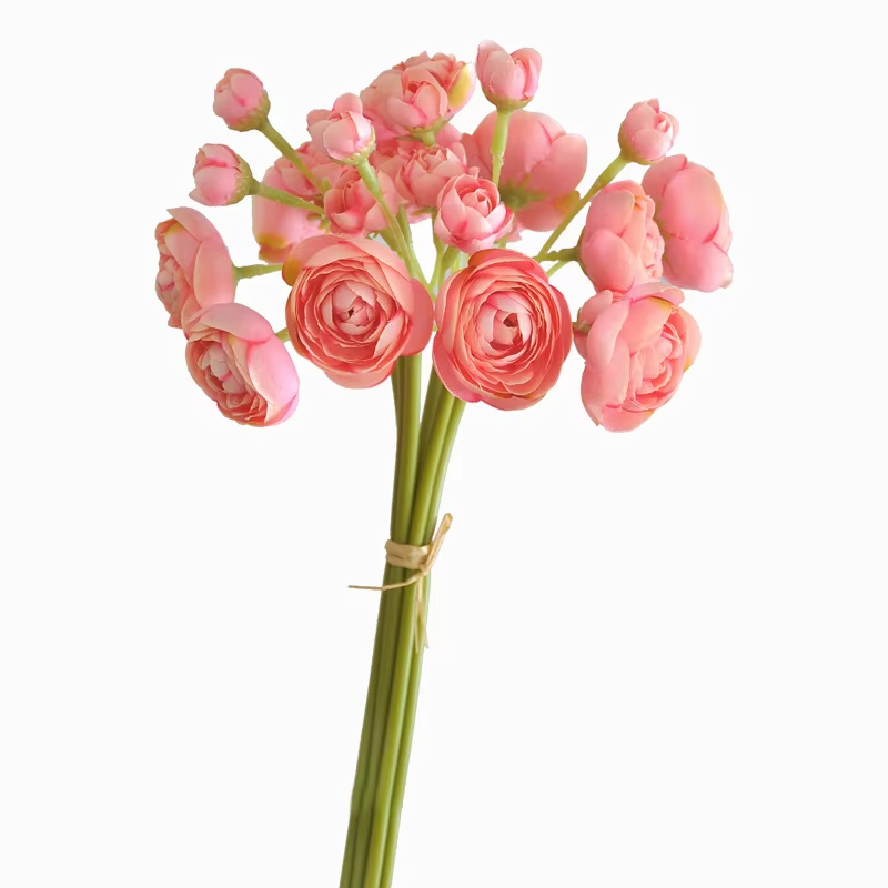 Rosa intenso