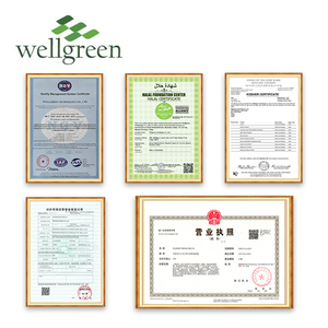 Wellgreen 100% Nature Source <strong>Acai</strong> <strong>Fruit</strong> Pure Freeze Dried Organic <strong>Acai</strong> Berry Powder