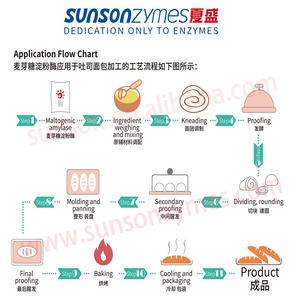 Maltogenic amylase cho bánh Bánh Mì Thời hạn sử dụng, bánh mì antistaling, nướng tươi Enzyme - Product Image 4