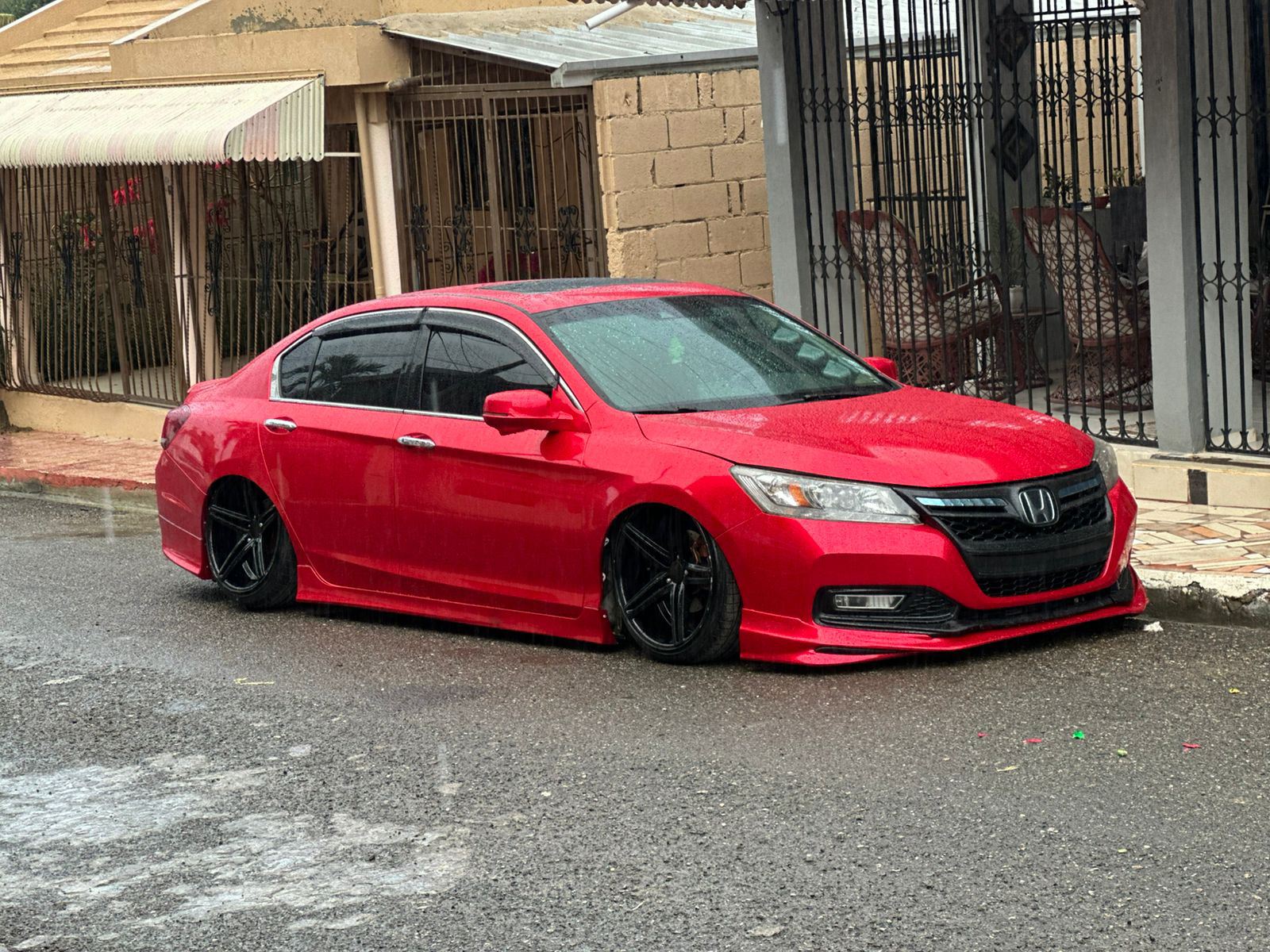 PET Soul Red