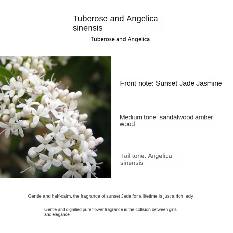 Tuberose และ Angelica sinensis