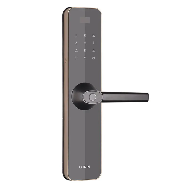 Cerradura de puerta inteligente con contraseña y huella dactilar, producto innovador, novedad