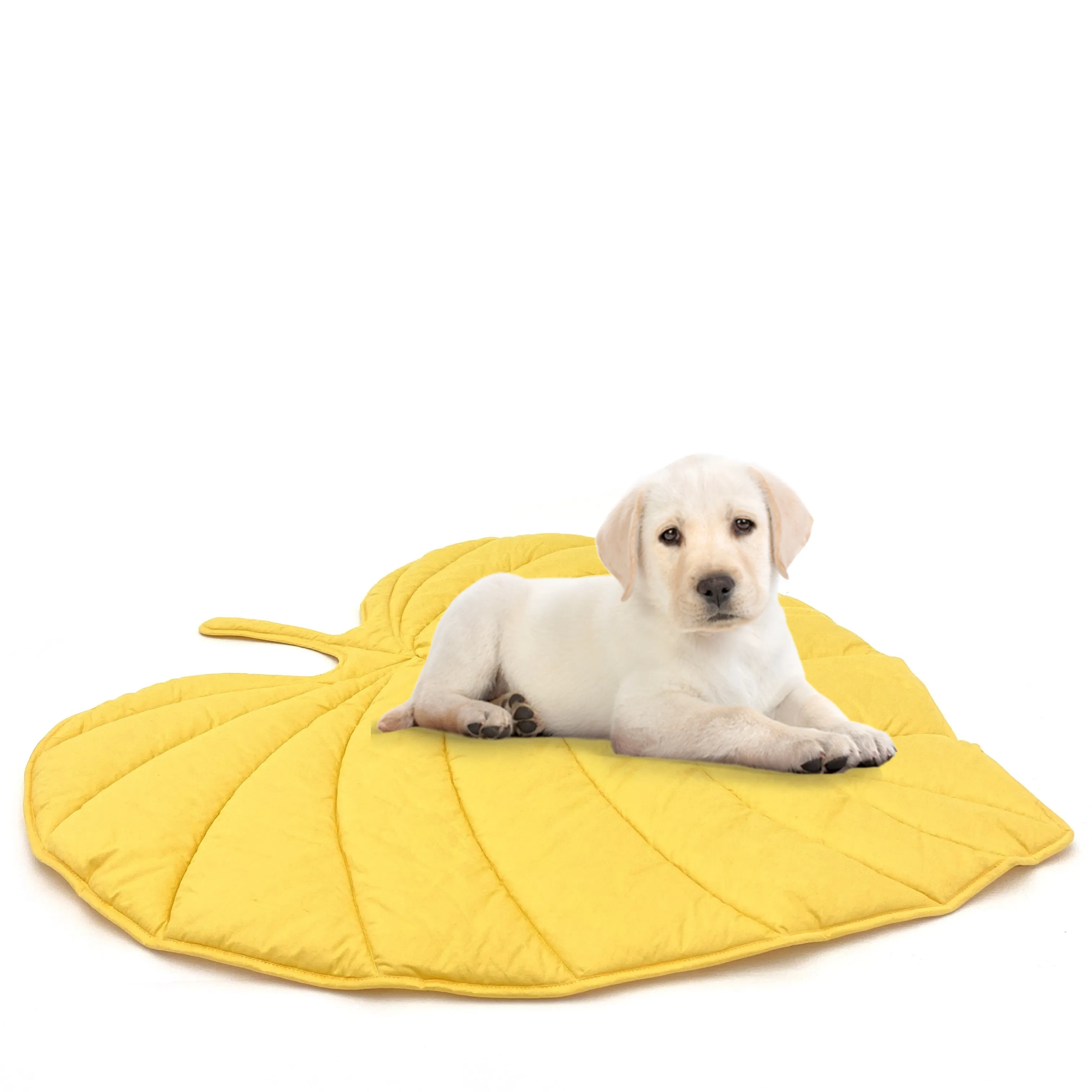 2023 yeni tasarım taşınabilir yıkanabilir özel büyük yaprak şekli atmak yatak kanepe kılıfı paspas köpek aktivite pedi