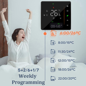 <span class=keywords><strong>2025</strong></span> chuyun wifi thông minh nhiệt để sưởi ấm gas Máy nước nóng điều khiển nhiệt độ sàn điện - Product Image 2