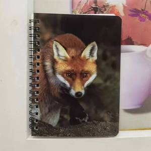 Hot Sales Custom A6 3d Lenticular Spiral <strong>Exercise</strong> Journal <strong>Notebook</strong> <strong>Writing</strong> Diary <strong>Notebook</strong> with 3d Cover for Students - Product Image 3