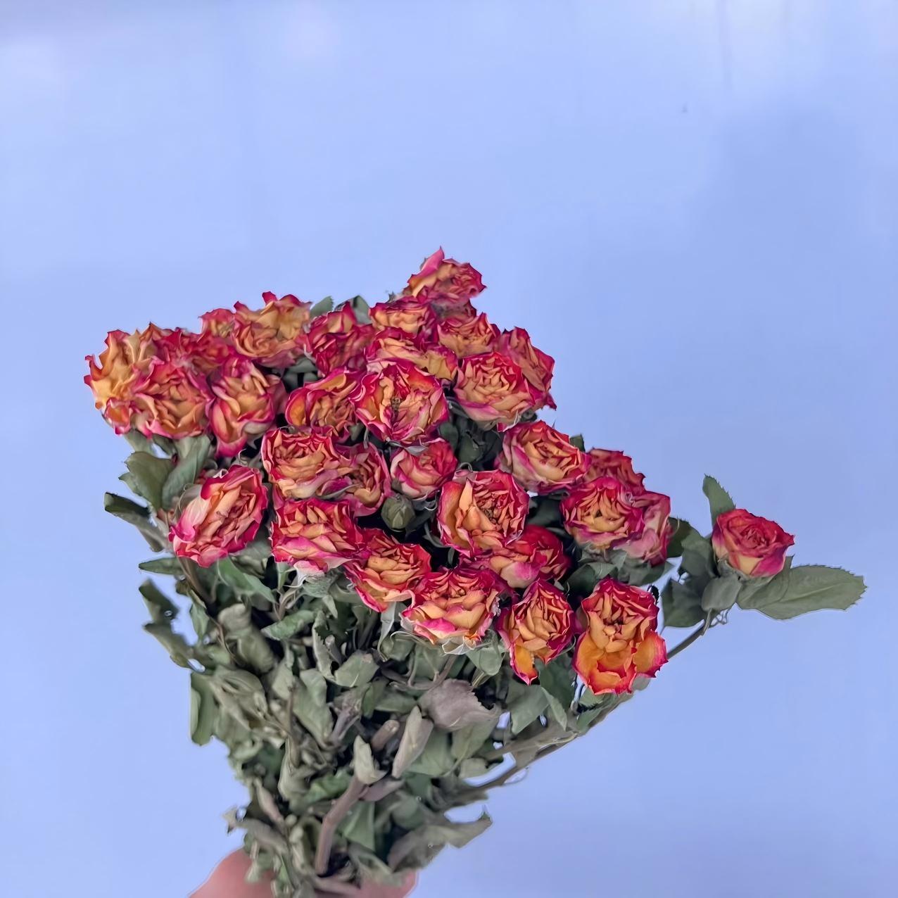 rosso 3