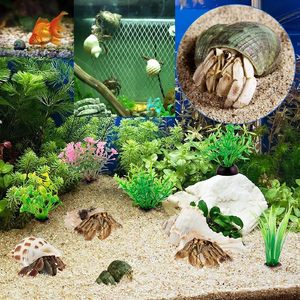 AMZ Choice 15PCS (6 Types) Natural Hermit Crab <strong>Shells</strong> for Medium and Large Hermit Crab Turbo Conch <strong>Shells</strong> - Product Image 5