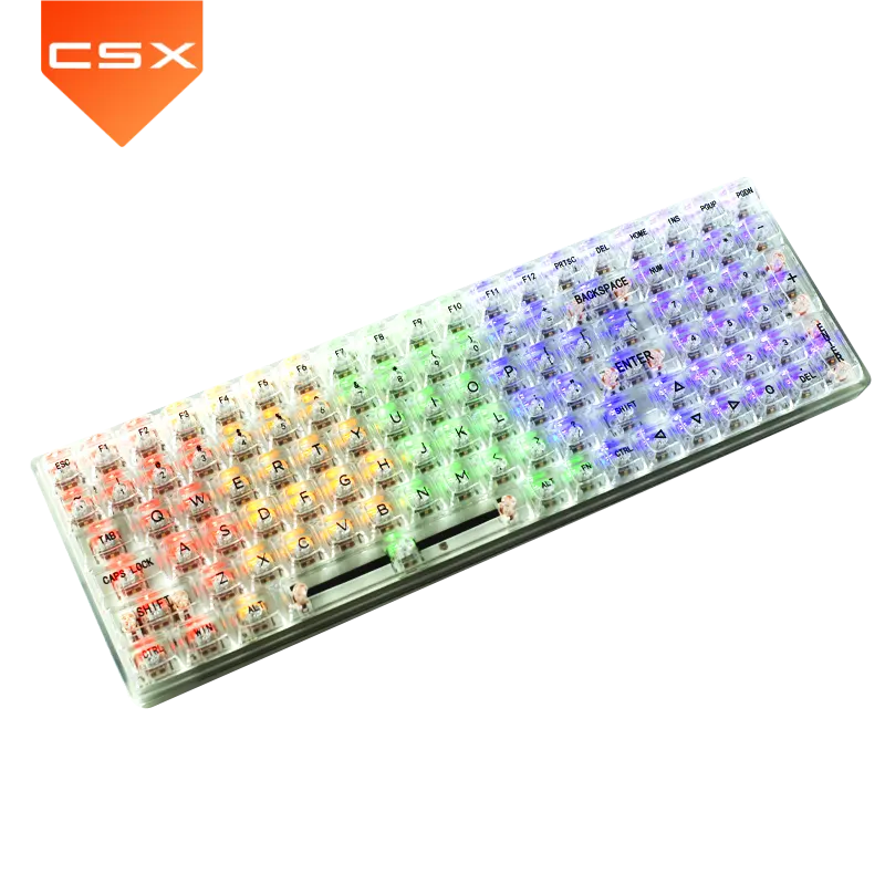 CSX vendite calde tasti 100 tastiera meccanica cablata RGB luce retroilluminata LED PC Gamer Computer gioco tastiera trasparente
