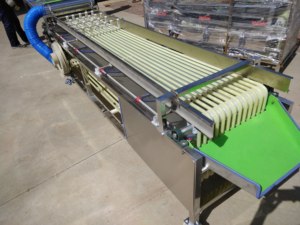 1000kg/h Cherry Tomato Sorter Tomato Grader <strong>Machine</strong> Tomato <strong>Red</strong> <strong>Dates</strong> <strong>Sorting</strong> <strong>Machine</strong> Fruit Grading <strong>Machine</strong> - Product Image 3