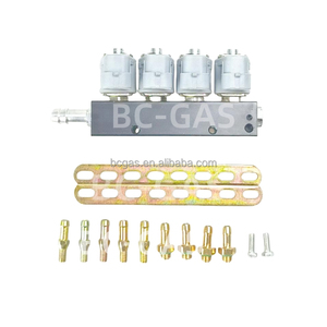 Sequentielles Kraftstoffs ystem 2Ohm 4-Zylinder-Einspritzschiene CNG LPG Digitale Kraftstoffe in spritz ung Lpg Gemeinsame Einspritz schiene