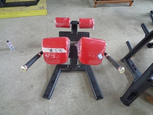 Fonte di fabbrica libera panca esercizio pesi panca posteriore Extension Sport Machine attrezzature per il Fitness sedia romana per la palestra
