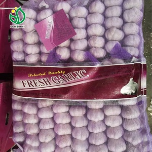 大蒜买家批发10千克/袋装1x20FCL 5.0厘米/5.5厘米出口莫桑比克/索马里/利比亚/利比里亚便宜的市场价格/新作物/Ajo