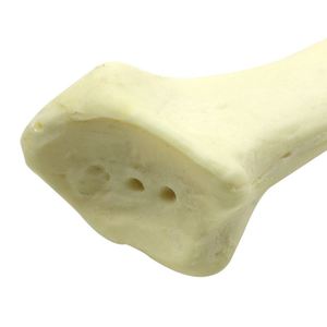 Ortopedik cerrahi eğitimi iç<span class=keywords><strong>in</strong></span> 3-6mm yaşam boyu yarıçaplı değişken kanal çapına sahip KyrenMed katı köpük yarıçapı - Product Image 4