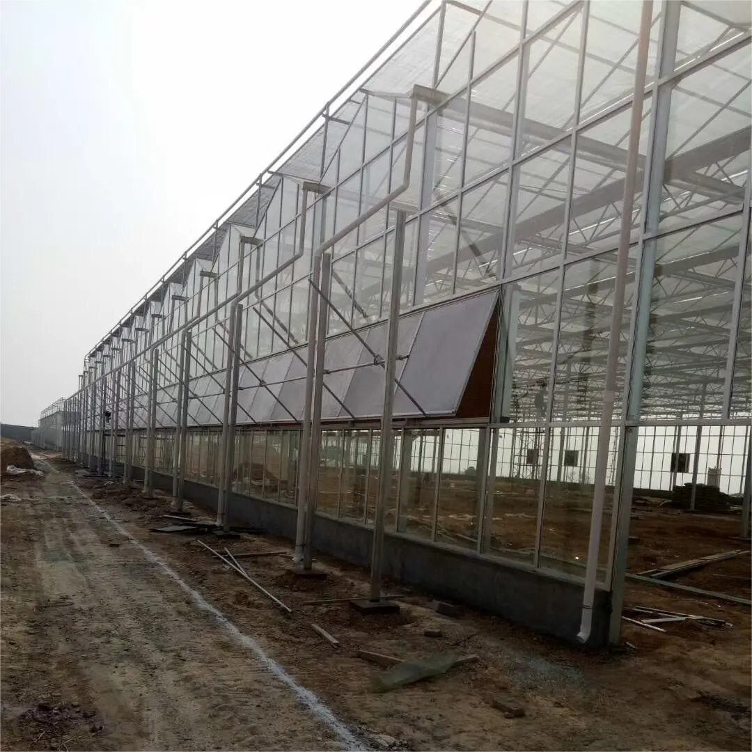 Fabricante de qualidade na China, painéis duplos de policarbonato duplo transparente de paredes múltiplas, resistente ao calor e oco, policarbonato de plástico transparente