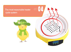Инкубатор для яиц - Product Image 6