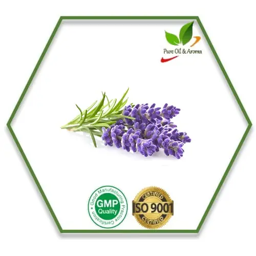 Top bán hoa oải hương tinh dầu nhãn hiệu riêng và cung cấp số lượng lớn trị liệu lớp hương thơm dầu hương liệu lớp