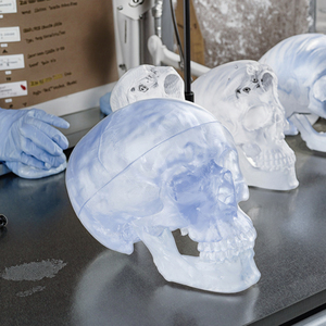 <strong>3</strong> Part Translucent <strong>Human</strong> Skull Model Transparent <strong>Human</strong> Life Size