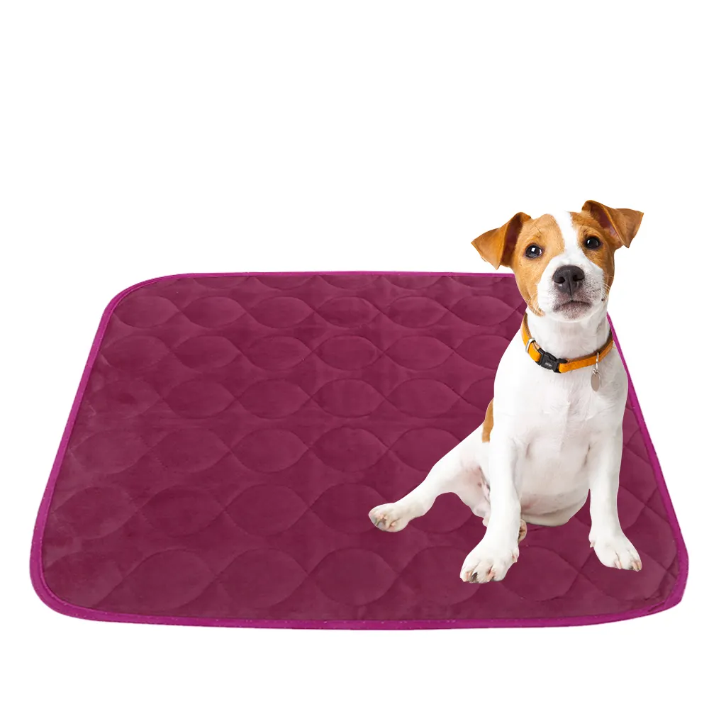 Natucare-almohadillas de entrenamiento reutilizables para perros, paquete de 2 almohadillas lavables de 4 capas para mascotas
