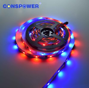 RGB5050数字灯带30LEDS/M WS2811 5050彩条5050RGB 12V可寻址RGB Led灯带制造商 - Product Image 1