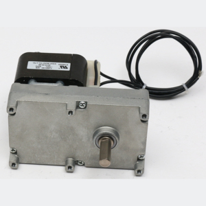 High Torque Low Rpm <strong>Gear</strong> <strong>Motor</strong> AC/DC - Product Image 2