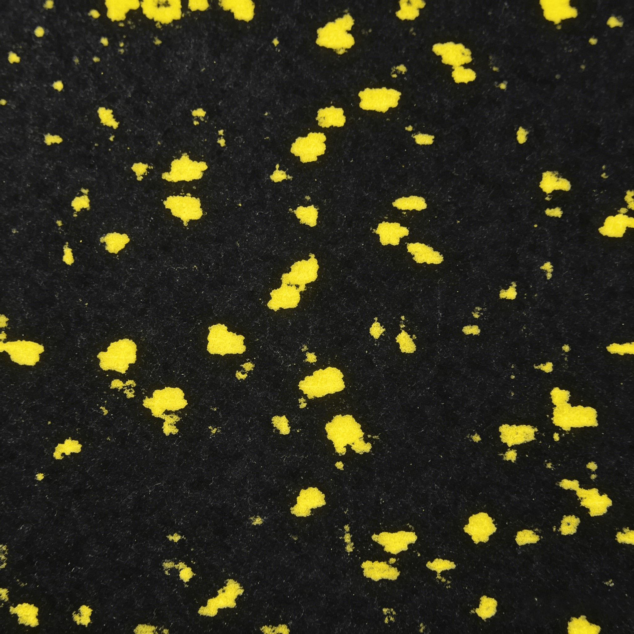 Jaune+Noir