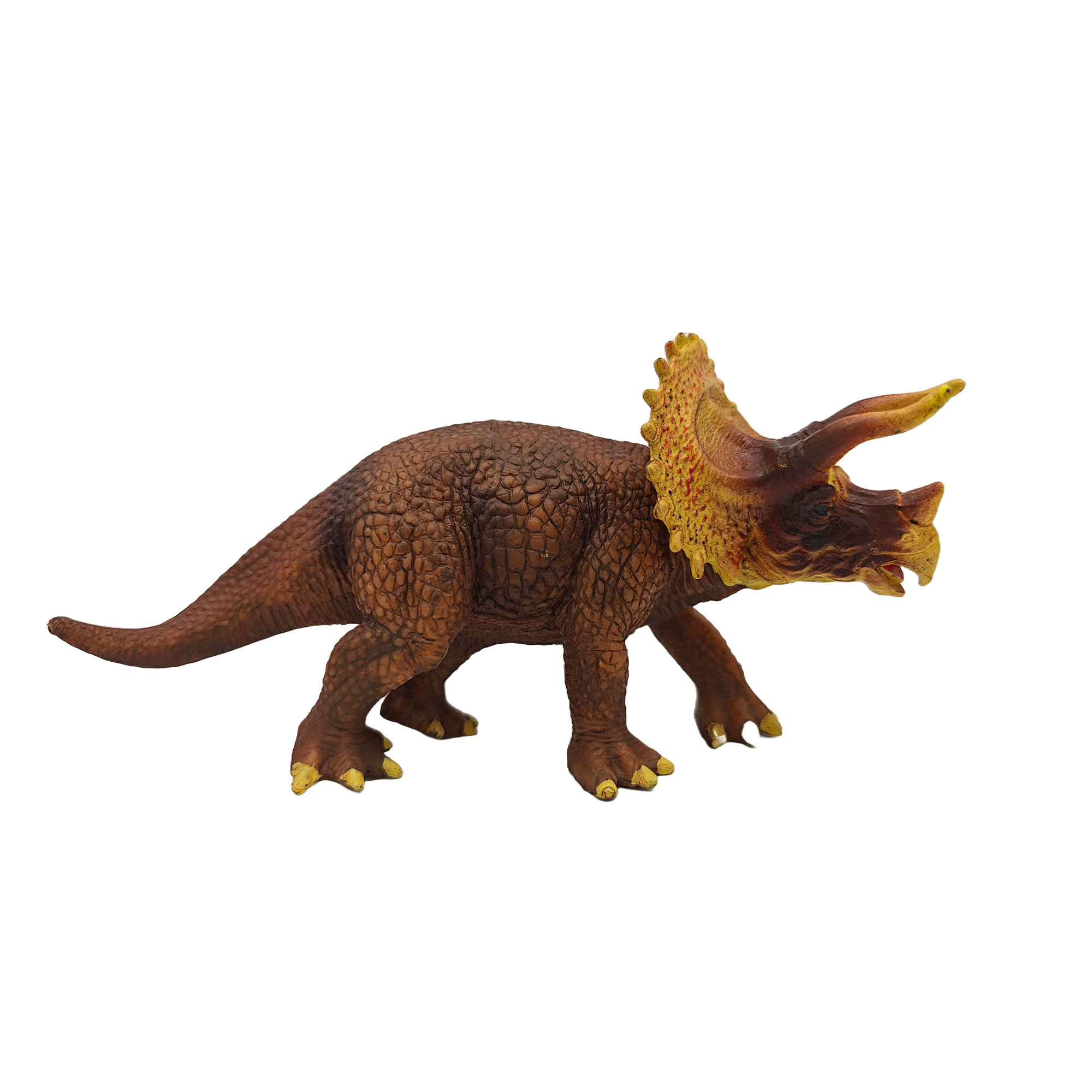 Triceratops