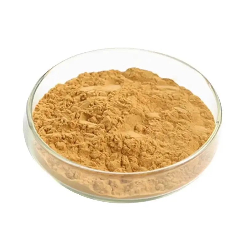Nuovo prodotto estratto di fungo Hou Tou Gu Hericium Erinaceus estratto di fungo polisaccaride 30%