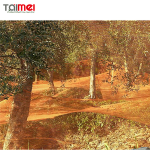 HDPE agricultura Hexagonal Oliva neto/cosecha neto/Colección/recogida neto - Product Image 5