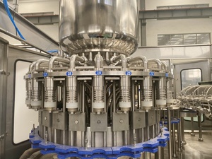 フルーツジュース工場中国の有名なプロの生産