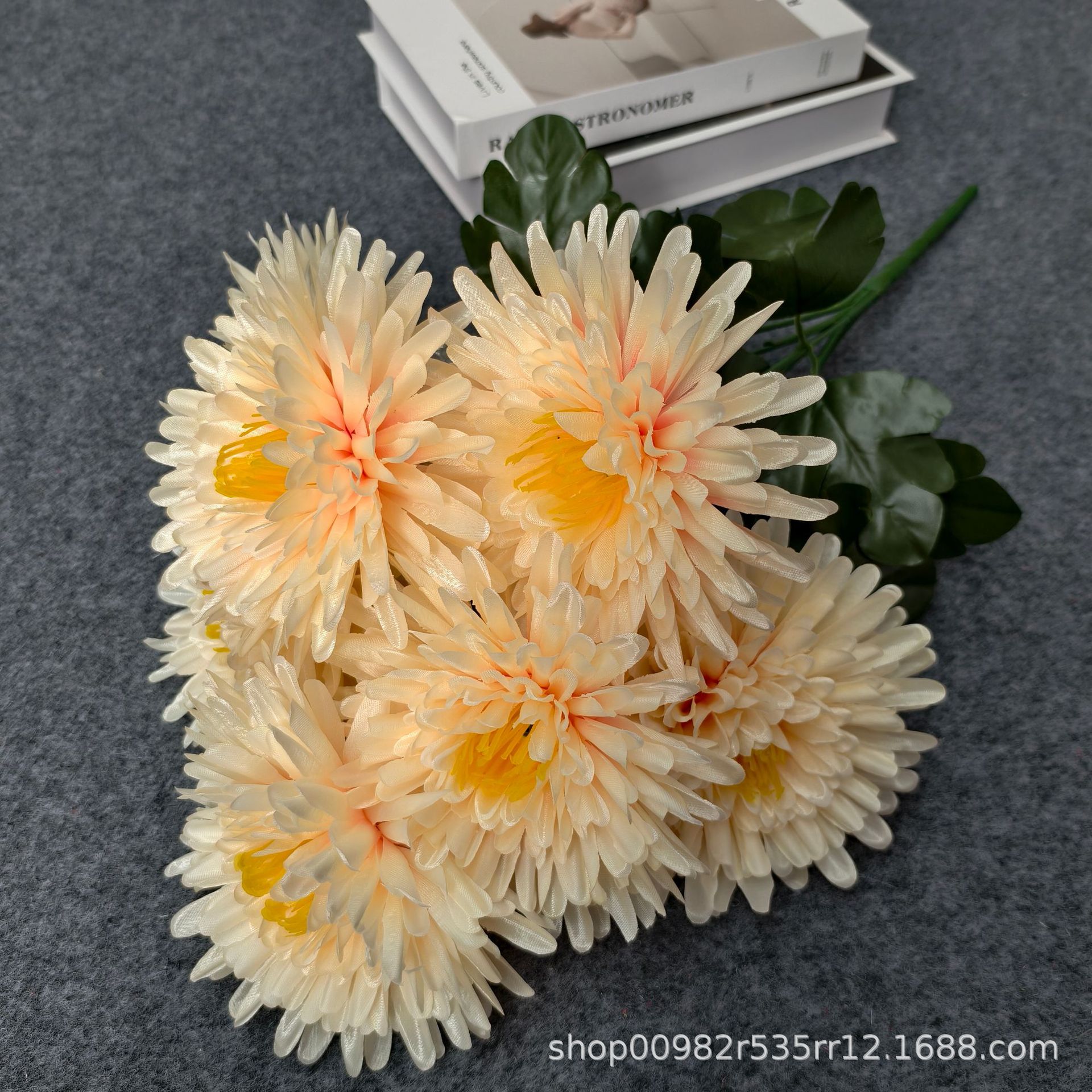 Chrysanthème à aiguilles de champagne