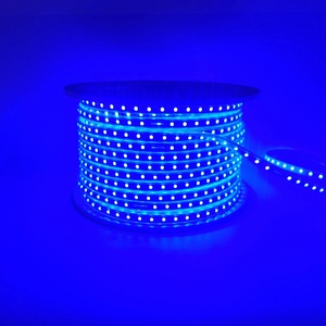 505050rgb 220V flessibile striscia di luce LED 60/120LED 100m IP65 per esterni striscia di luce intelligente RGB regolatore di temperatura di colore - Product Image 3