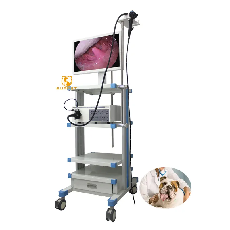 EUR PET attrezzatura veterinaria di alta qualità Prime telecamera gastroscopio endoscopio flessibile veterinario per animali domestici