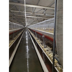 עוף גיוס ציוד משק עופות עוף כלוב שכבה עוף כלוב מערכת מפעל אספקה ישירה