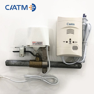 CAATM JY-CA339 CH4音と光のアラーム壁掛け式天然ガス検知器可燃性/有毒ガス漏れ検知器 - Product Image 5