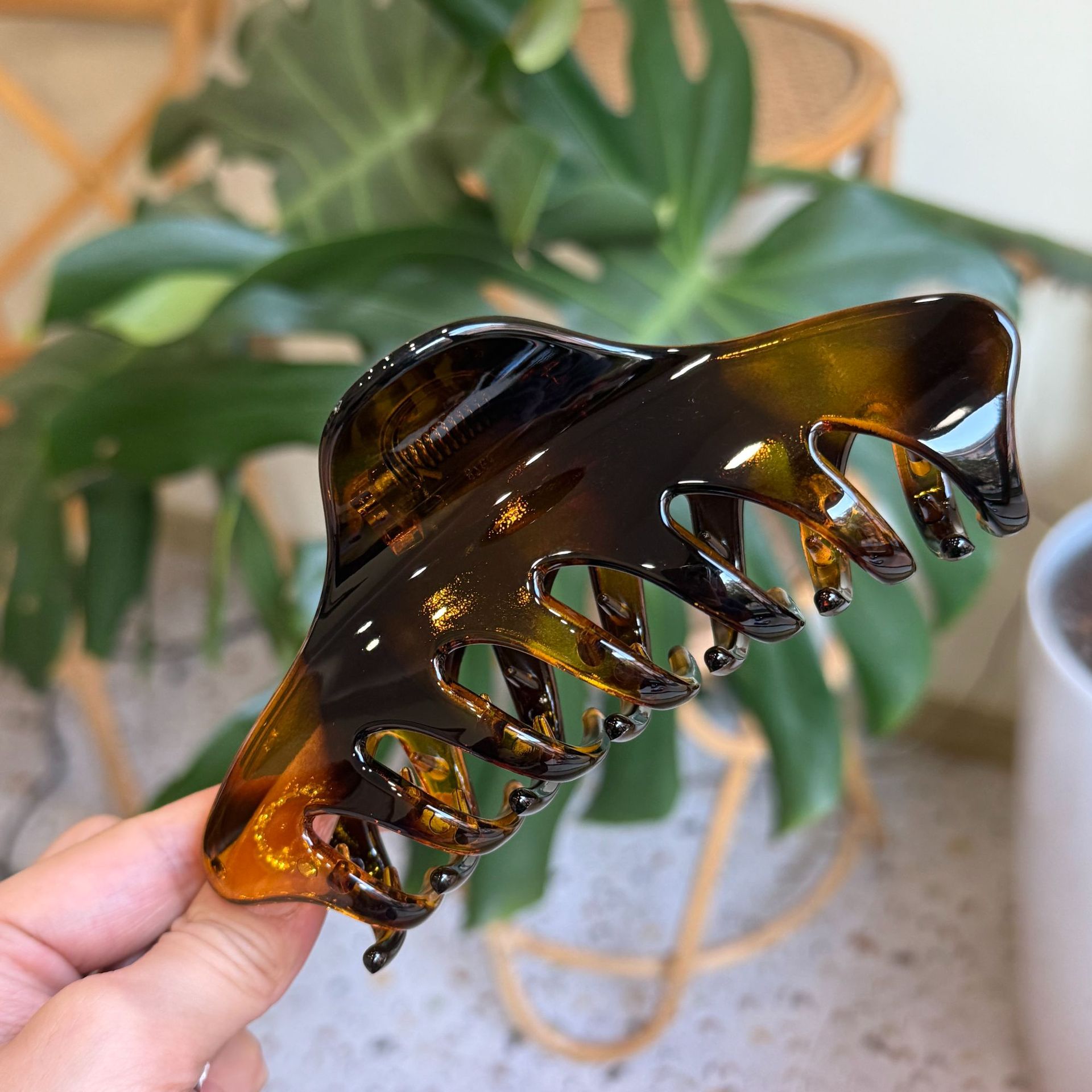 Bright tortoiseshell