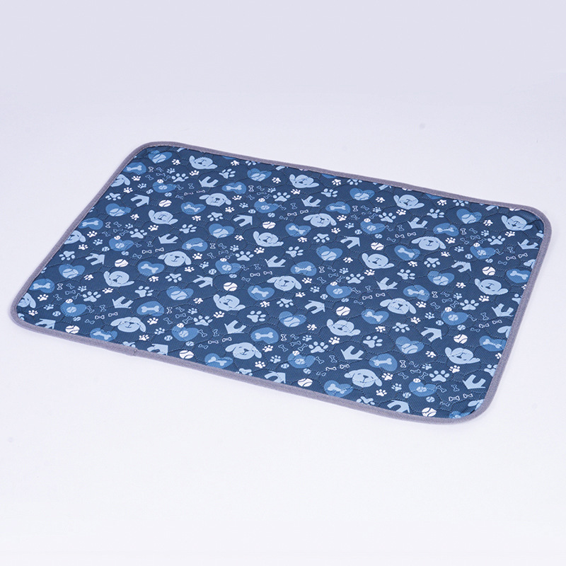 Blue dog bone