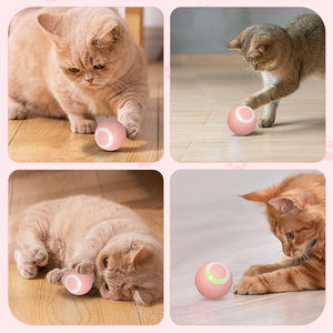 Juguetes interactivos de fábrica para gatos, juguete de hierba gatera automóvil para gatos, pelota eléctrica para perros, pelota rodante automática, juguetes inteligentes para gatos - Product Image 4