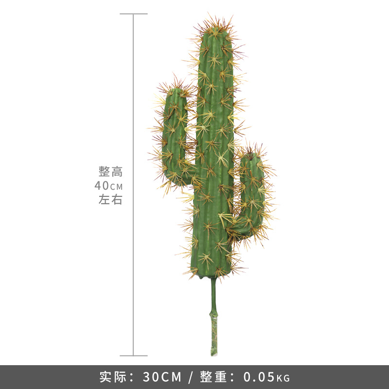 Trompeta de cactus