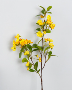 สีเหลือง