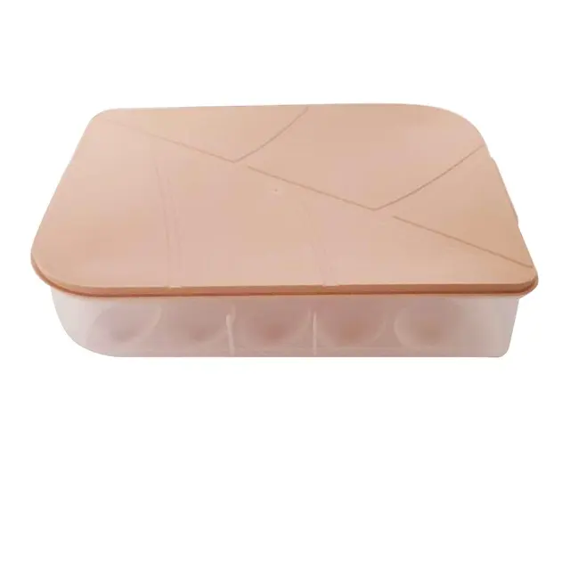 Kualitas tinggi Organizer plastik portabel pemegang kotak makanan kelas 20-telur kotak penyimpanan untuk kulkas rumah tangga kemasan Freezer