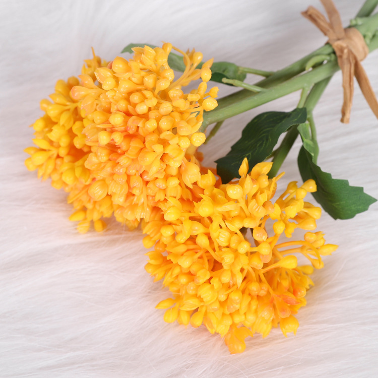 Wind letter fruit yellow