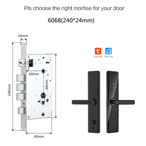 TYSH Home Security Smart Lock Wifi Tuya controllo App Digital Digital Touch Screen tastiera chiave chiave intelligente serratura porta intelligente