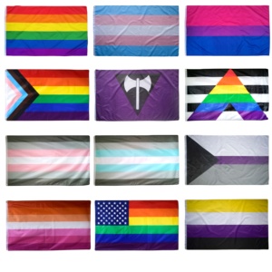 3x5fts More Than 20 Kinds of LGBT Rainbow Gay <strong>Pride</strong> Flags, <strong>Pride</strong> Stuff on <strong>Pride</strong> Month - Product Image 1