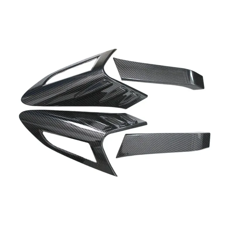 Aspect fibre de carbone